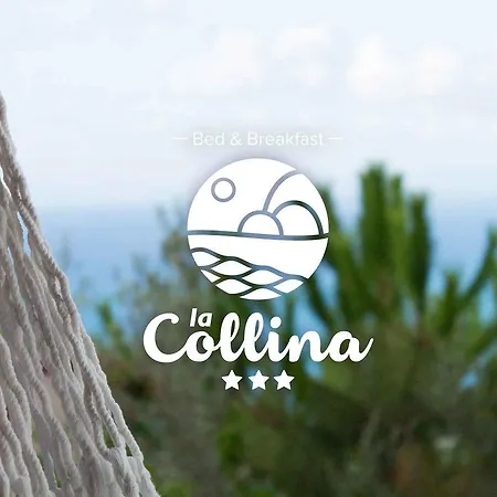 住宿加早餐酒店 La Collina 3*