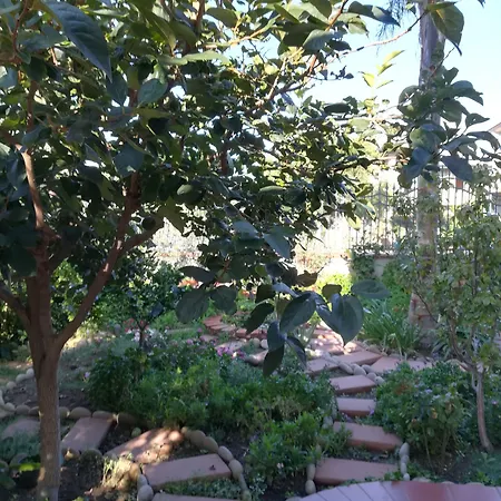 La Collina